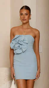 Xanbi Mini Dress - Blue