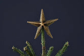 Bishakha Star Tree Topper