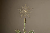 Talini Star Tree Topper