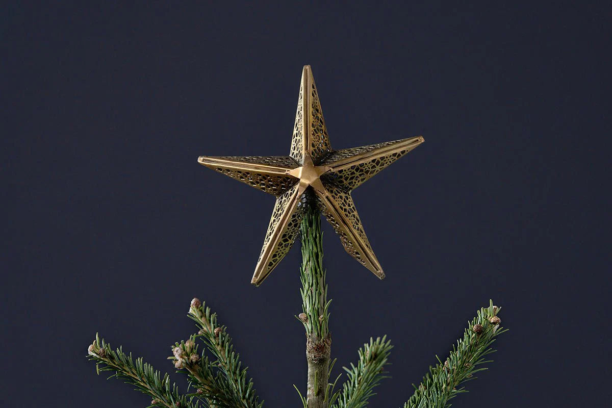 Bishakha Star Tree Topper